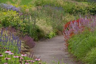 Jardins-naturalistes_Wisley